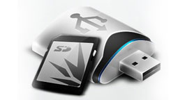 FlashMemory
