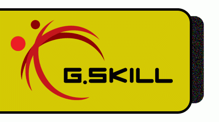 ۰ G.Skill Memory